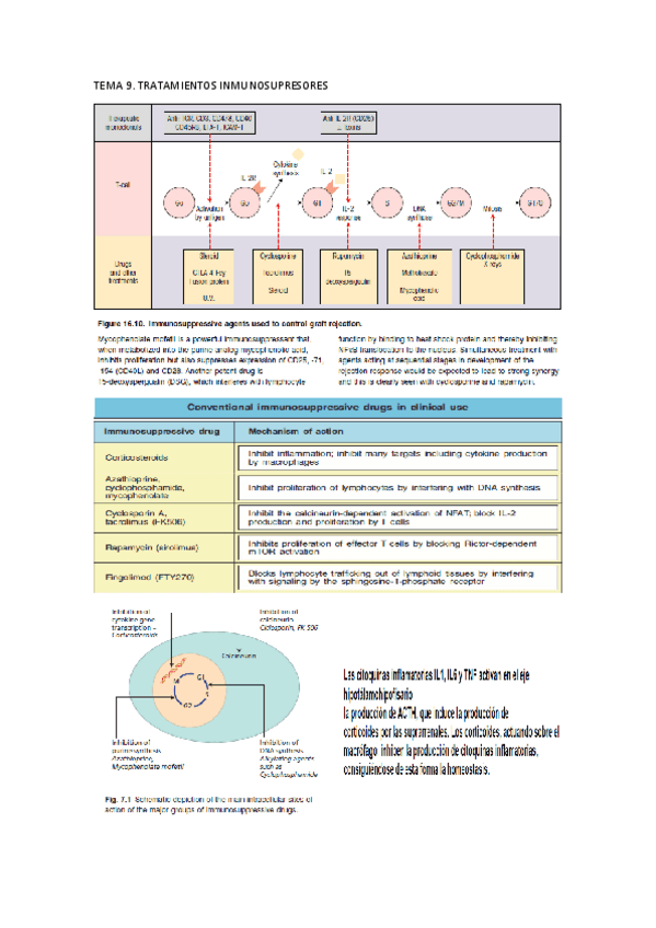 Miniatura del documento TEMA 9.pdf