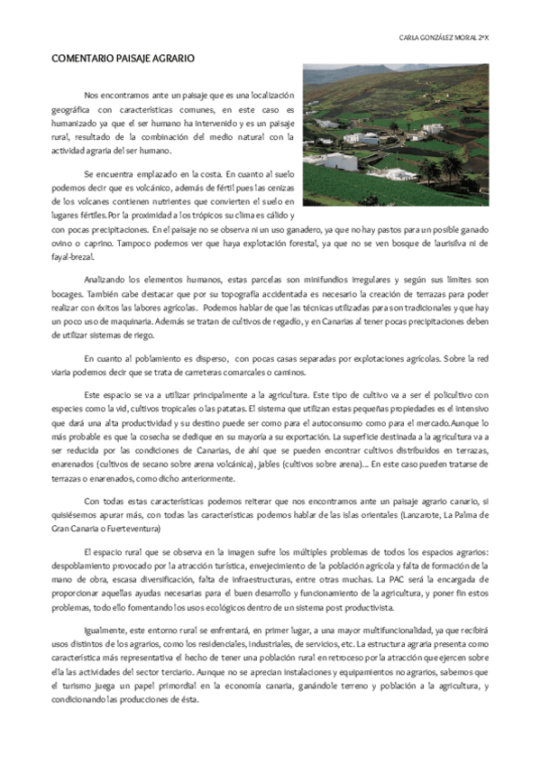 Miniatura del documento COMENTARIO-PAISAJE-AGRARIO.pdf