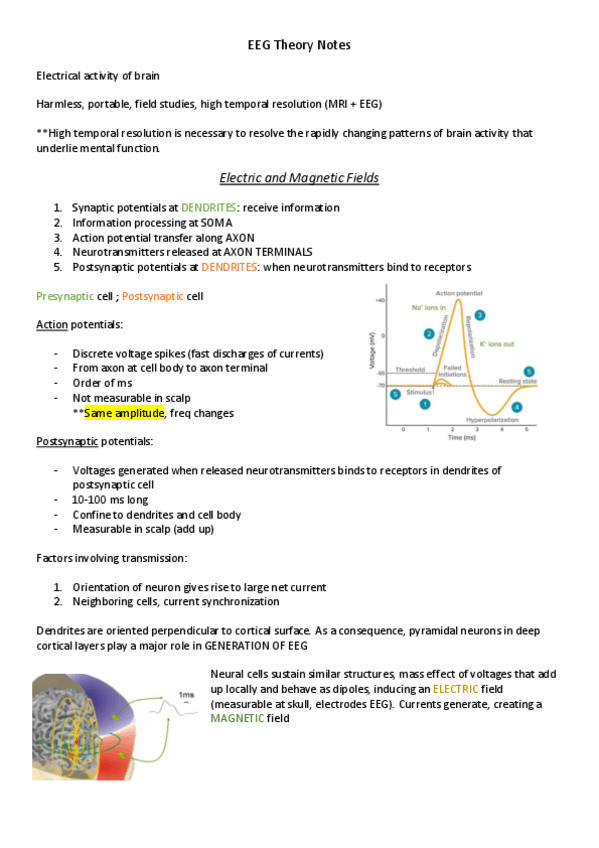 Miniatura del documento EEG-Theory-Notes.pdf