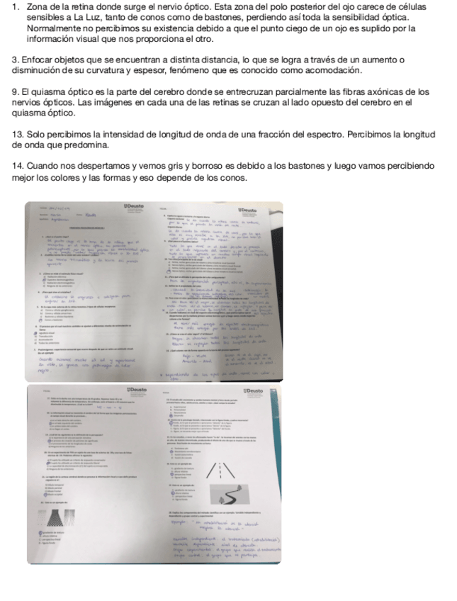 Miniatura del documento Examen-PPB-I.pdf
