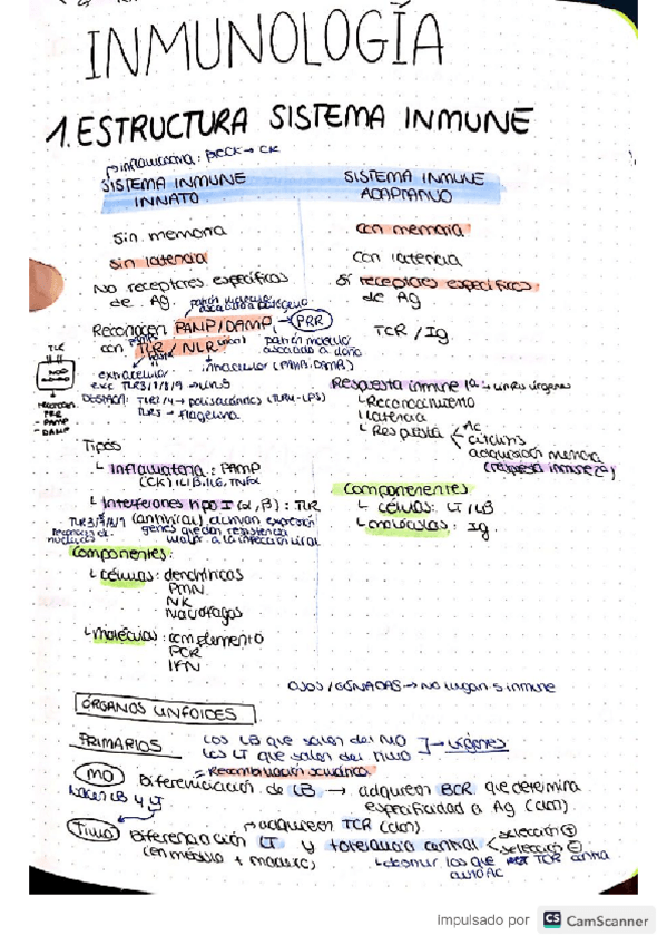 Miniatura del documento inmuno-y-genetica-.pdf