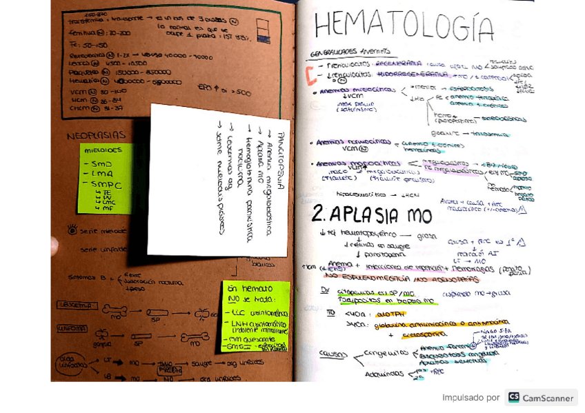 Miniatura del documento hemato.pdf