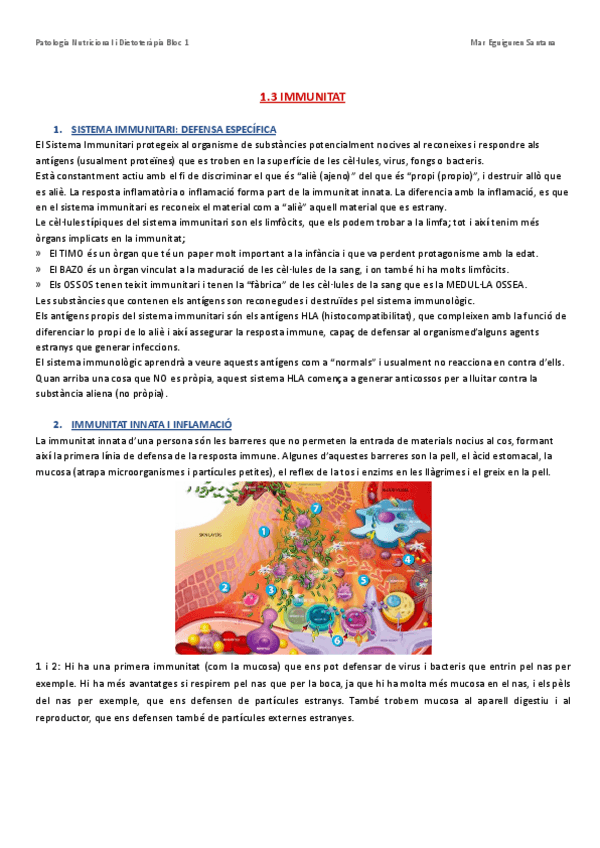 Miniatura del documento Pato i diet TOT.pdf