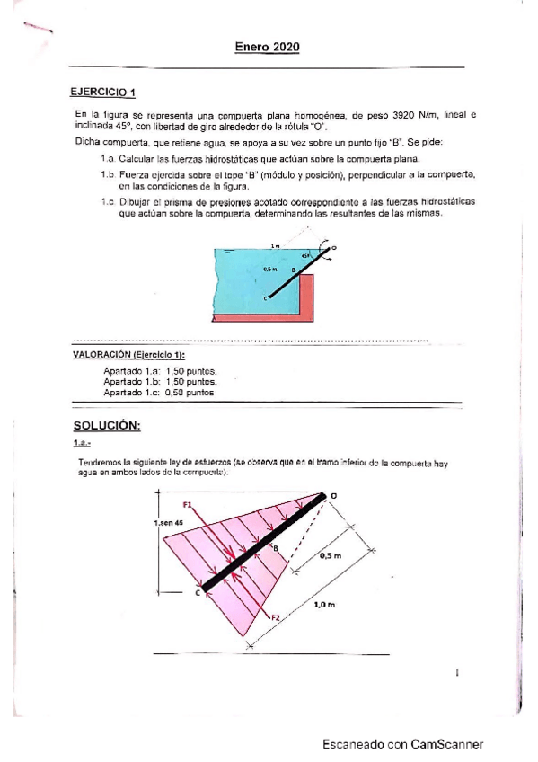 Miniatura del documento Enero-2020.pdf