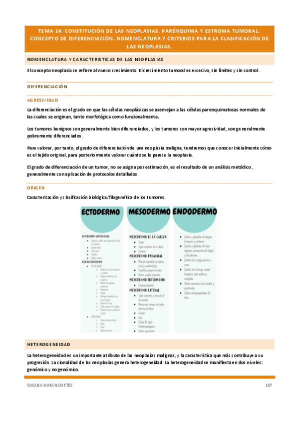 Miniatura del documento Documento-114removed-18.pdf