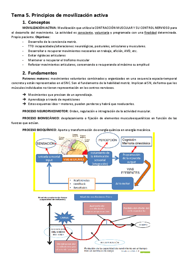 Miniatura del documento T5.-CIne.pdf