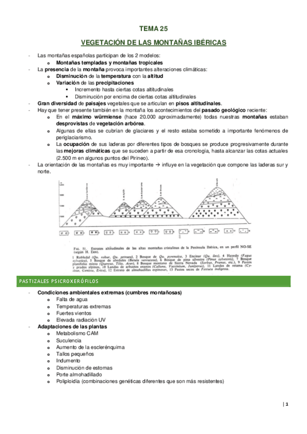 Miniatura del documento Tema-25.pdf