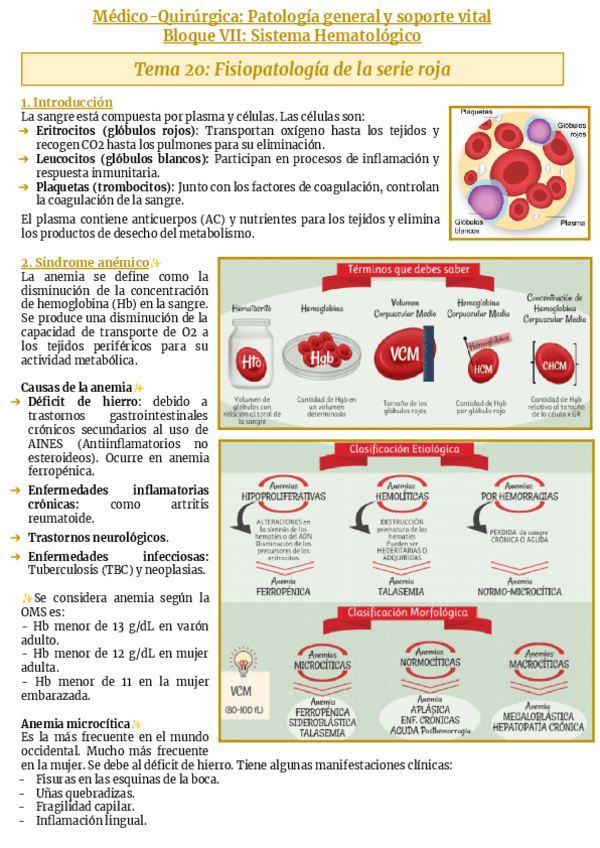 Miniatura del documento Bloque-VII-Sistema-hematologico