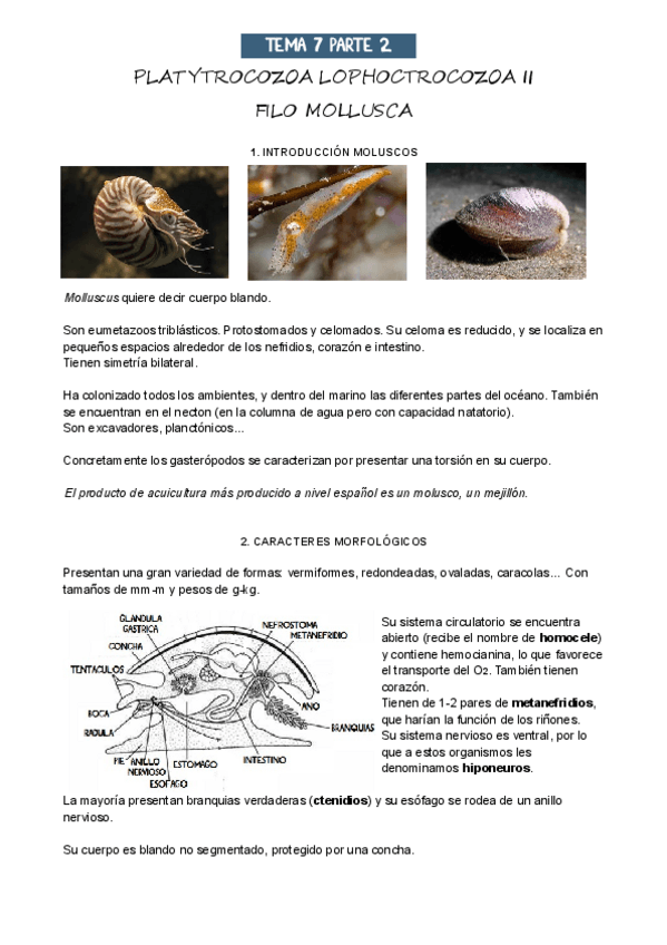 Miniatura del documento T7Parte-2.pdf