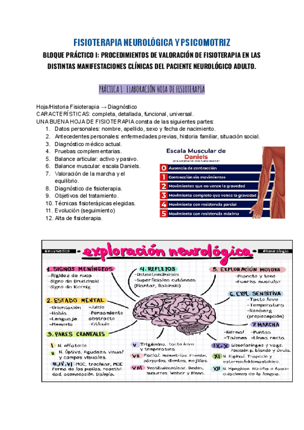 Miniatura del documento PRACTICO-NEURO.pdf
