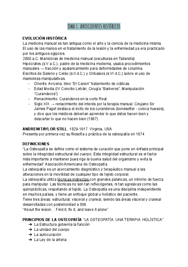 Miniatura del documento MANIPULATIVA-RESUMEN.pdf
