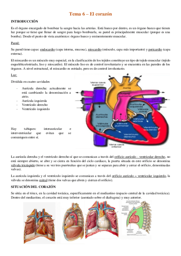 Miniatura del documento tema-6-El-corazon.pdf