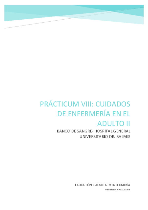 Miniatura del documento TRABAJO-PRACTICUM-VIII.pdf