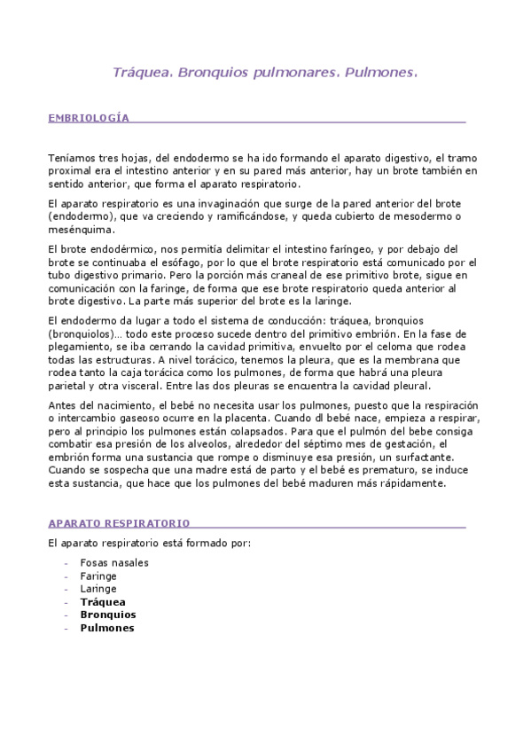 Miniatura del documento T6.-TRAQUEA-BRONQUIOS-Y-PULMONES.pdf