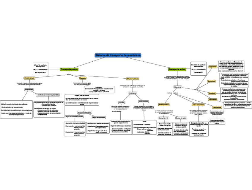 Miniatura del documento Transporte de membrana (Esquema).pdf