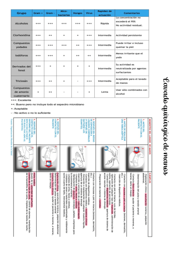 Miniatura del documento seminarios.pdf