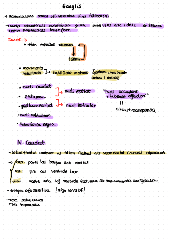 Miniatura del documento Ganglis-Basals.pdf