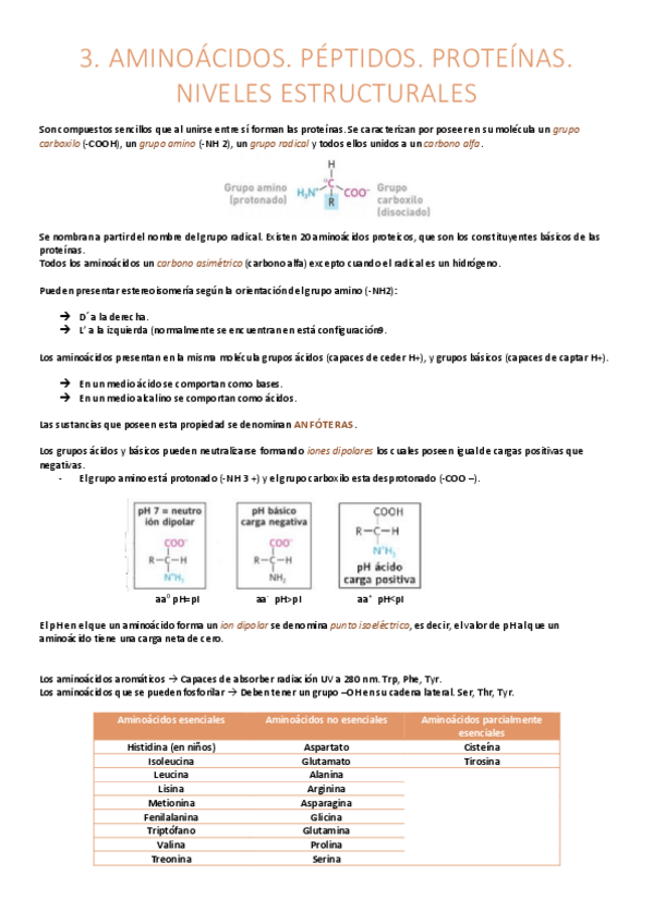 Miniatura del documento Aminoácidos.pdf