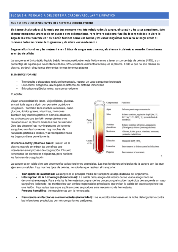 Miniatura del documento Tema-4-y-5-Sistema-cardiovascular-y-linfatico.pdf