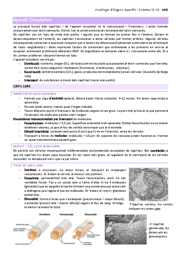 Miniatura del documento HOAS1rPARCIAL.pdf