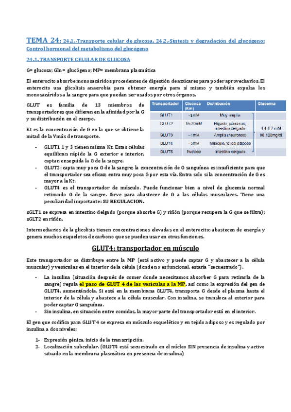 Miniatura del documento TEMA 24- SÍNTESIS Y DEGRADACIÓN DE GLÚCOGENO.pdf