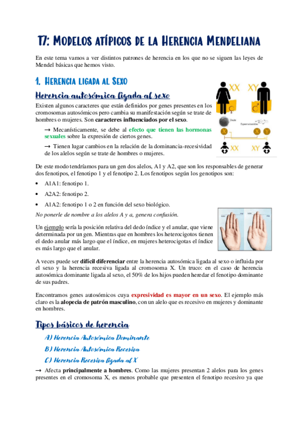 Miniatura del documento T7.-Modelos-atipicos-de-herencia-mendeliana.pdf