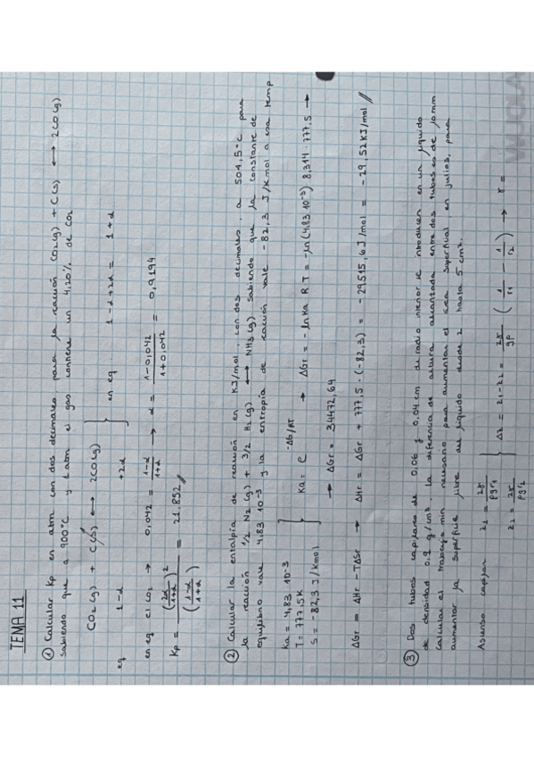 Miniatura del documento Ejercicios-tema-11.pdf