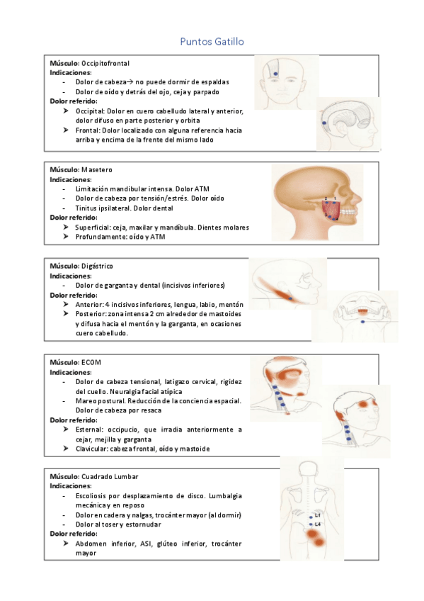 Miniatura del documento Puntos-Gatillo.pdf