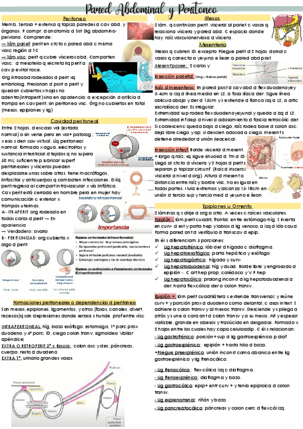 Miniatura del documento RESUMEN-ANATO-PERITONEO-Y-PARED-ABDOMINAL-UABP-7.pdf