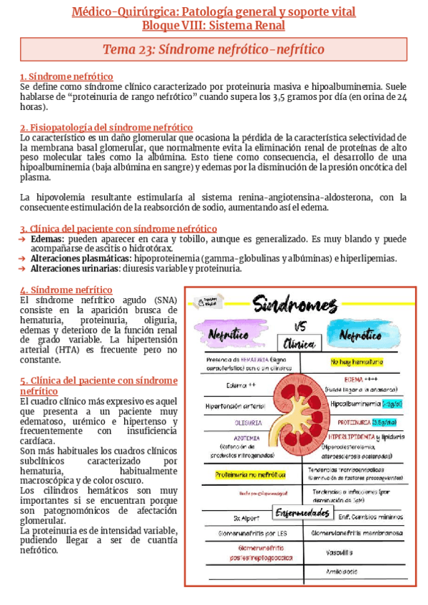 Miniatura del documento Bloque-VIII-Sistema-renal