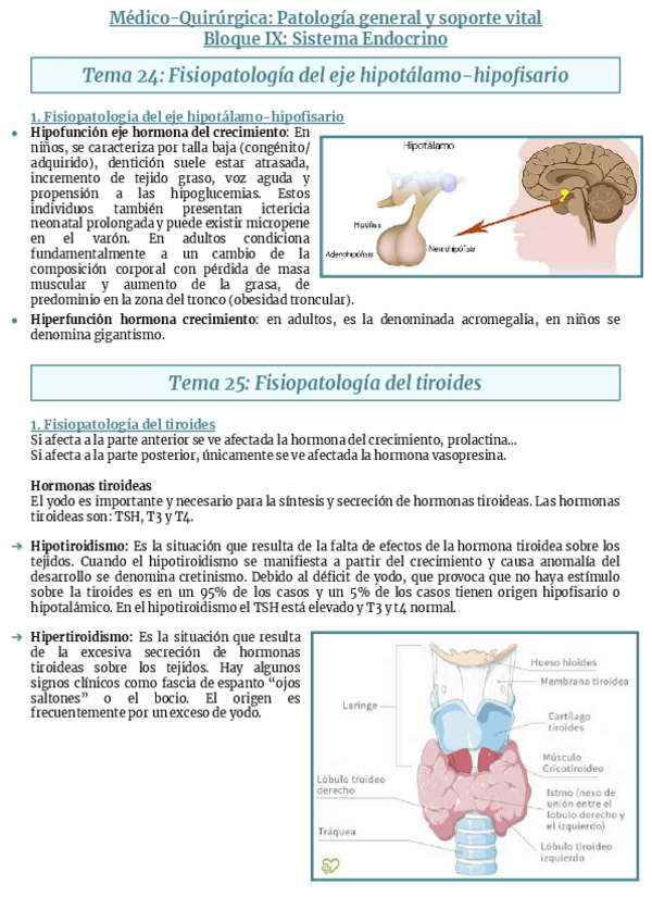 Miniatura del documento Bloque-IX-Sistema-Endocrino