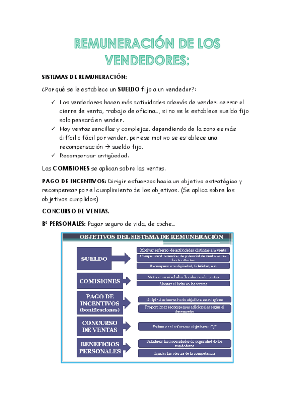 Miniatura del documento REMUNERACIÓN DE LOS VENDEDORES.pdf