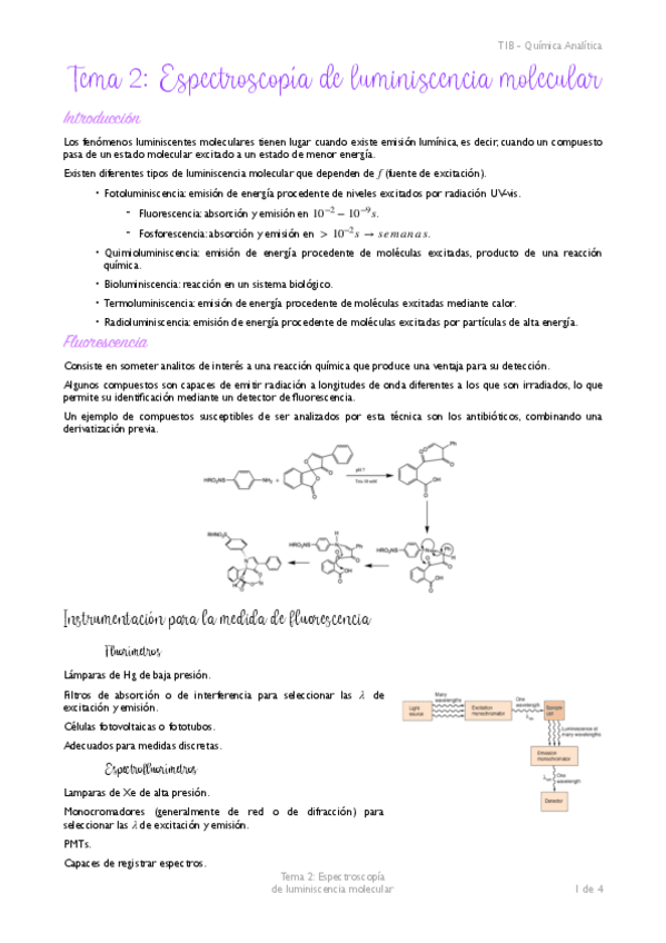 Miniatura del documento Tema-2-Apuntes-TIB-analitica.pdf