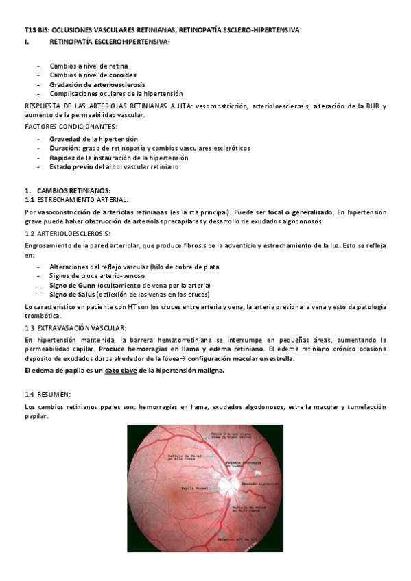 Miniatura del documento T13-BIS.pdf