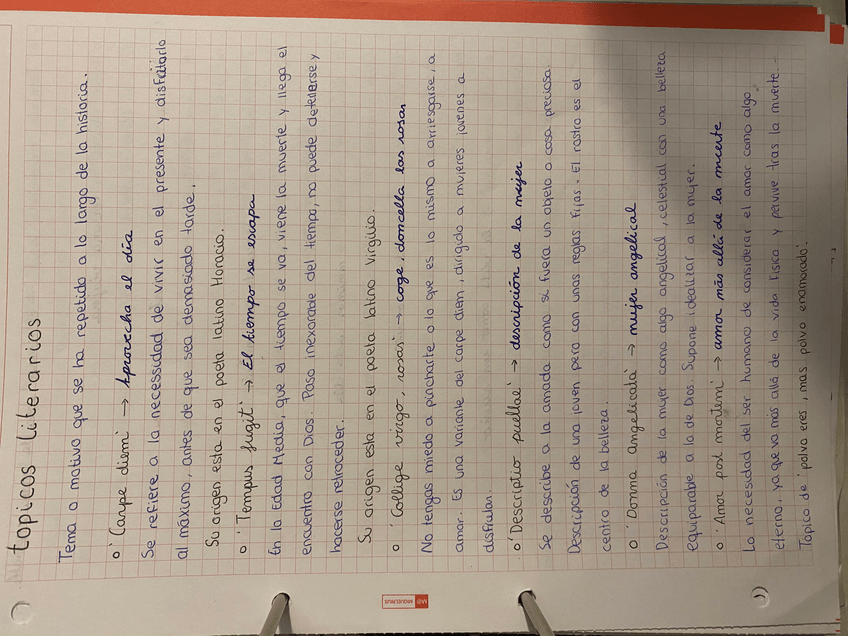 Miniatura del documento tópicos literarios I.jpeg