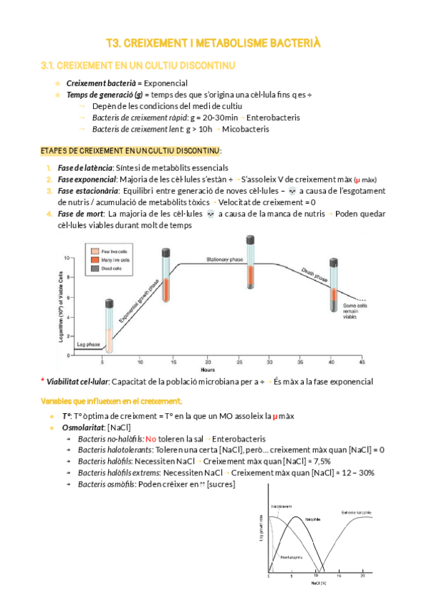 Miniatura del documento T3CREIXEMENT-BACTERIA.pdf