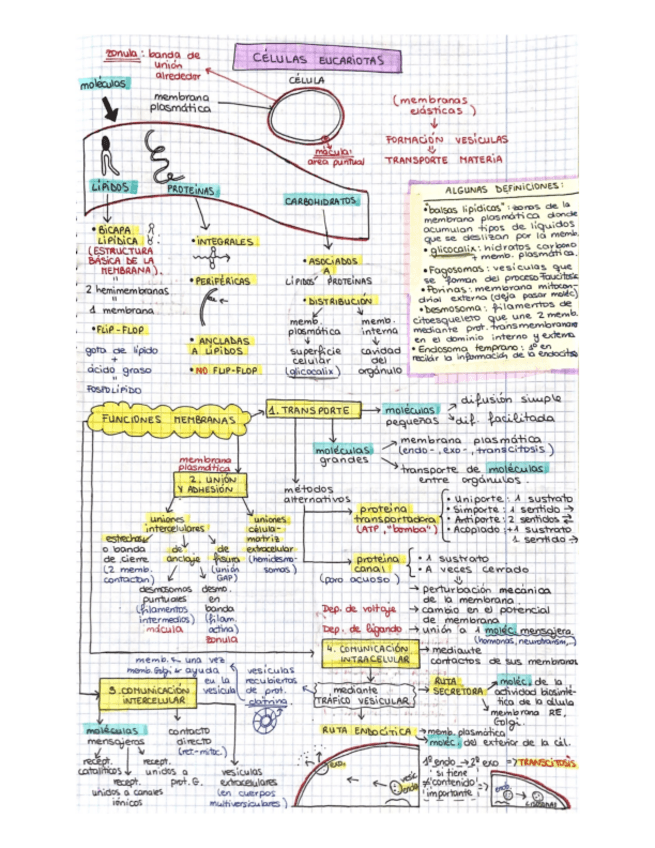 Miniatura del documento Apuntes-biologia-celular.pdf