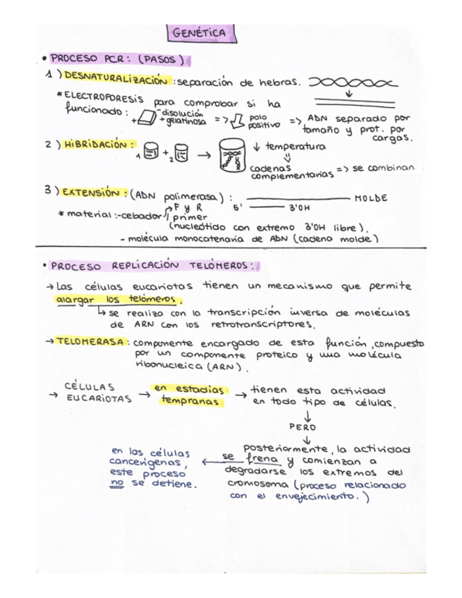 Miniatura del documento Datos-sueltos-genetica.pdf