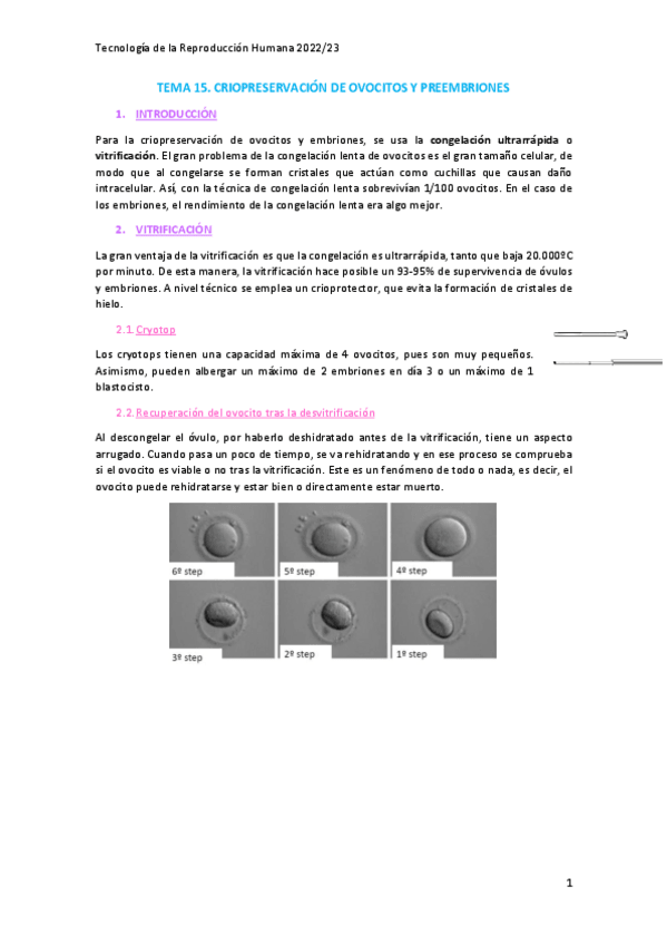Miniatura del documento Tema-15.-Criopreservacion-de-ovocitos-y-embriones.pdf
