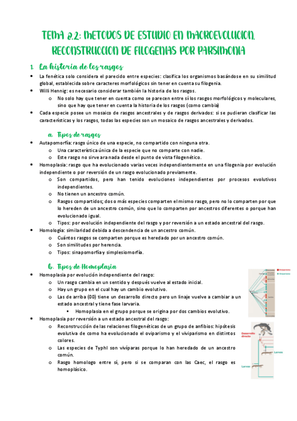 Miniatura del documento Tema-8.2-Metodos-de-estudio-en-macroevolucion.-Reconstruccion-de-filogenias-por-parsimonia.pdf