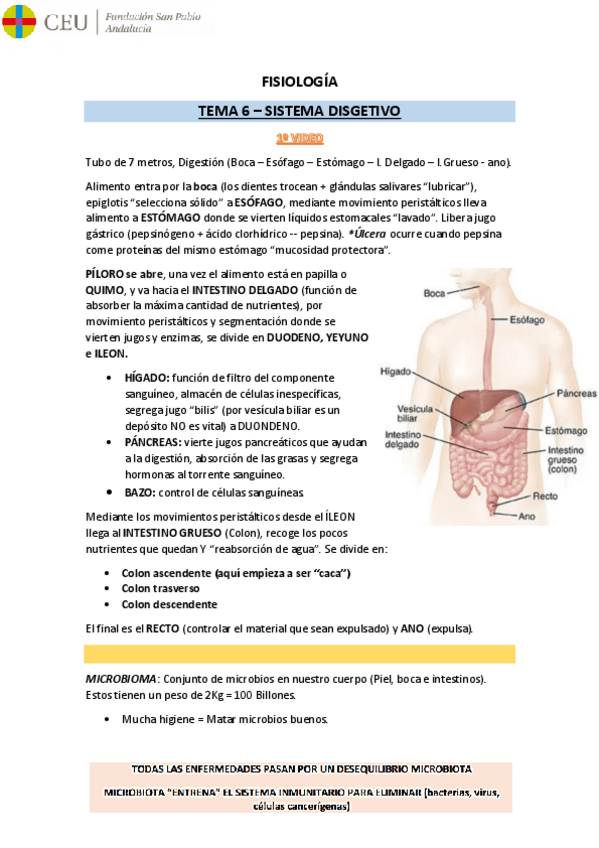 Miniatura del documento FISIOLOGIA-2o-Parcial.pdf