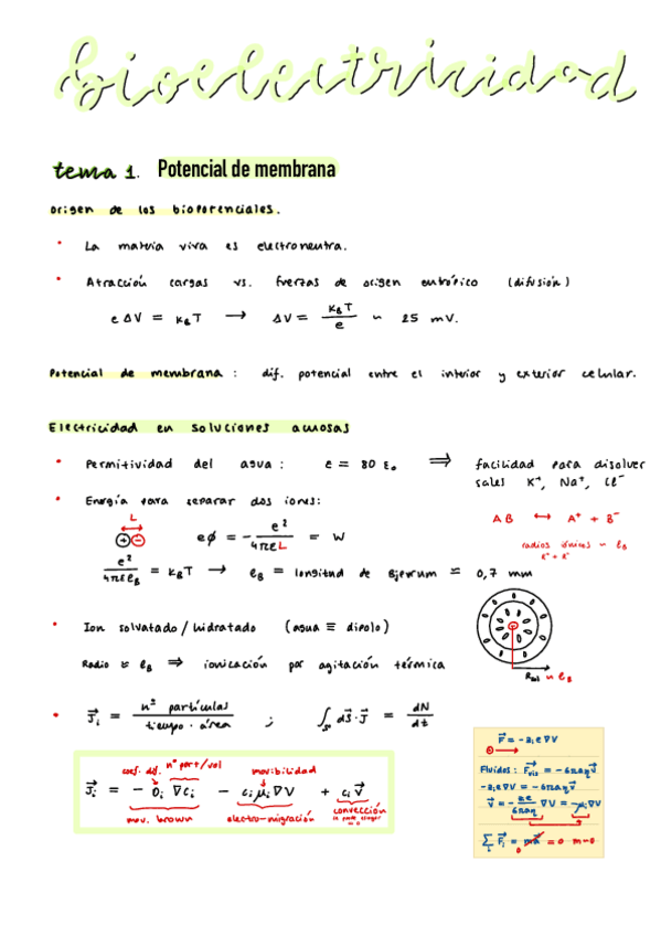 Miniatura del documento Apuntes-bloque-2-bioelectricidad.pdf