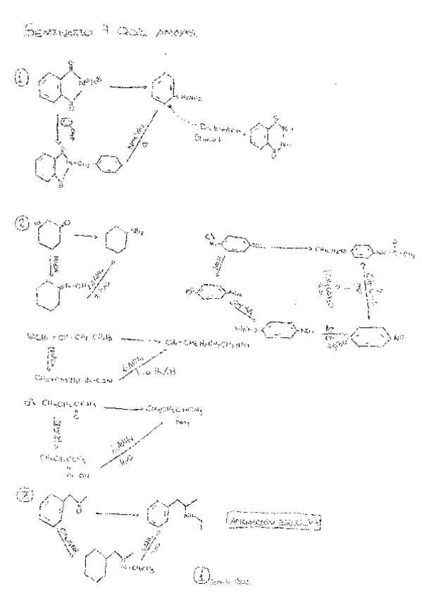 Miniatura del documento Tema 4. Aminas.pdf