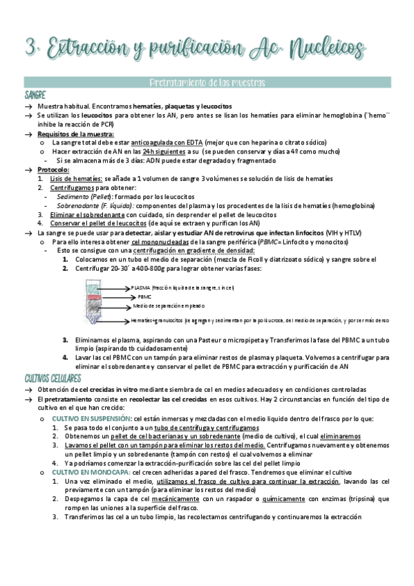 Miniatura del documento Extraccion-y-purificacion-de-Acidos-nucleicos.pdf