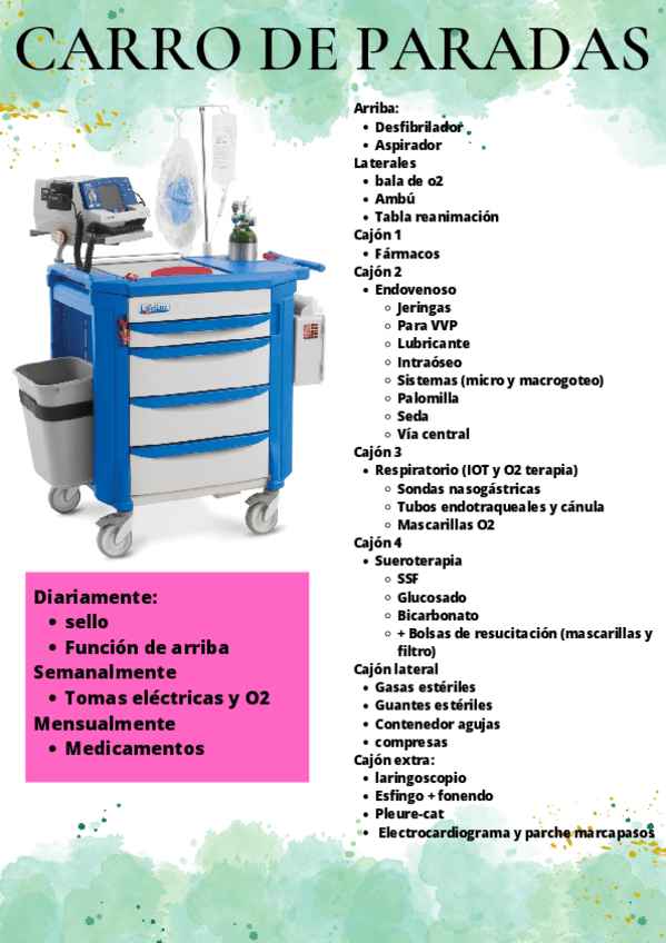 Miniatura del documento CARRO-DE-PARADAS.pdf