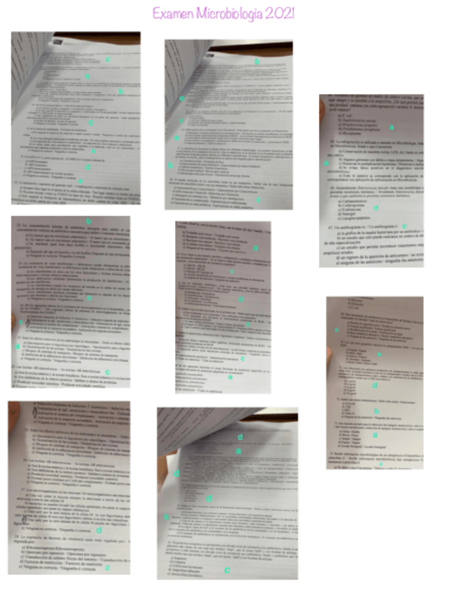 Miniatura del documento Examen-Microbiologia-2021.pdf