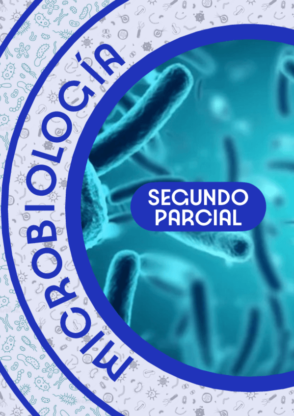 Miniatura del documento PACK-COMPLETO-SEGUNDO-PARCIAL.pdf