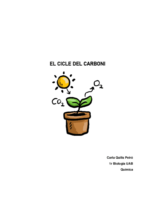 Miniatura del documento Treball-cicle-del-carboni.pdf