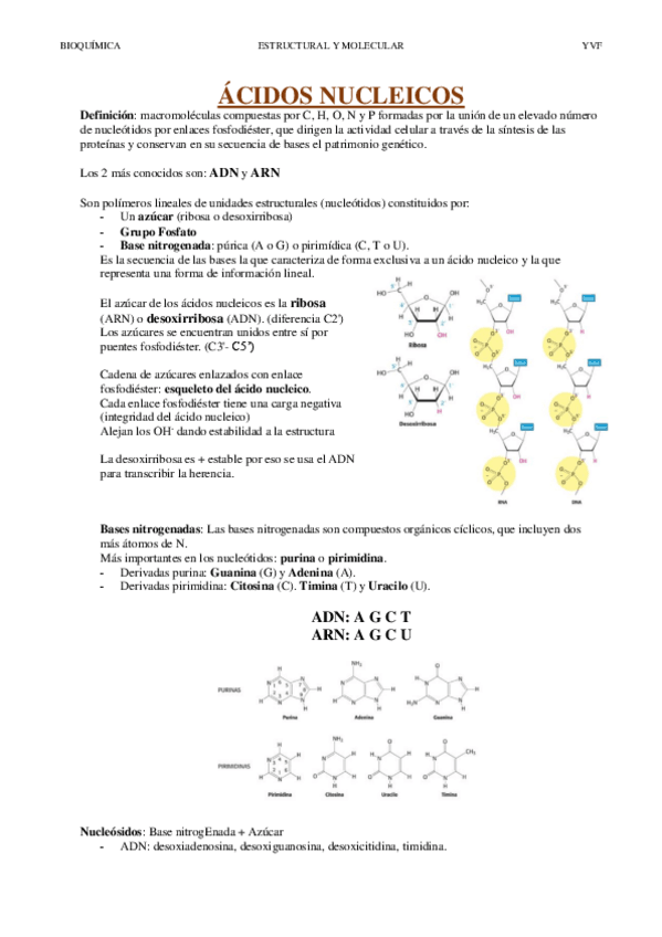 Miniatura del documento ACIDOS-NUCLEICOS.pdf