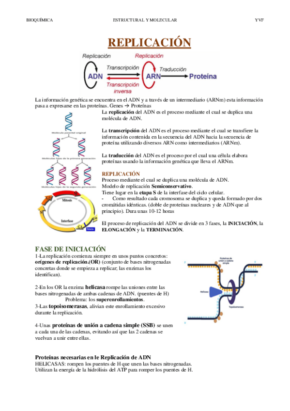 Miniatura del documento REPLICACION.pdf